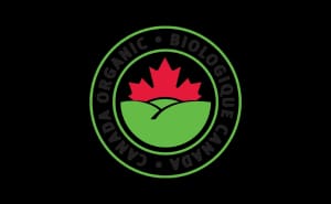 Commitment 2 - Quality checks